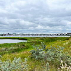 24-06-22 11-33-13 9767